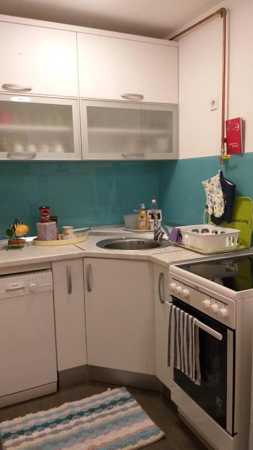 Apartman Sa Garazom I Internetom Sarajevo Bagian luar foto